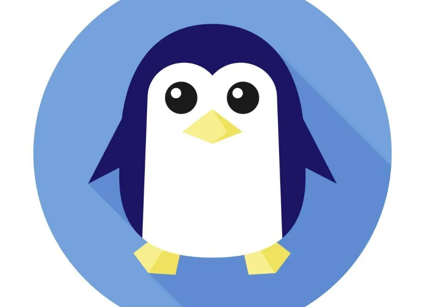 Google Penguin update 4 SEO DMS