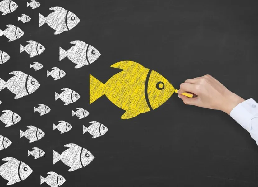 influencer marketing