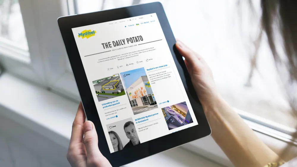mydibel website